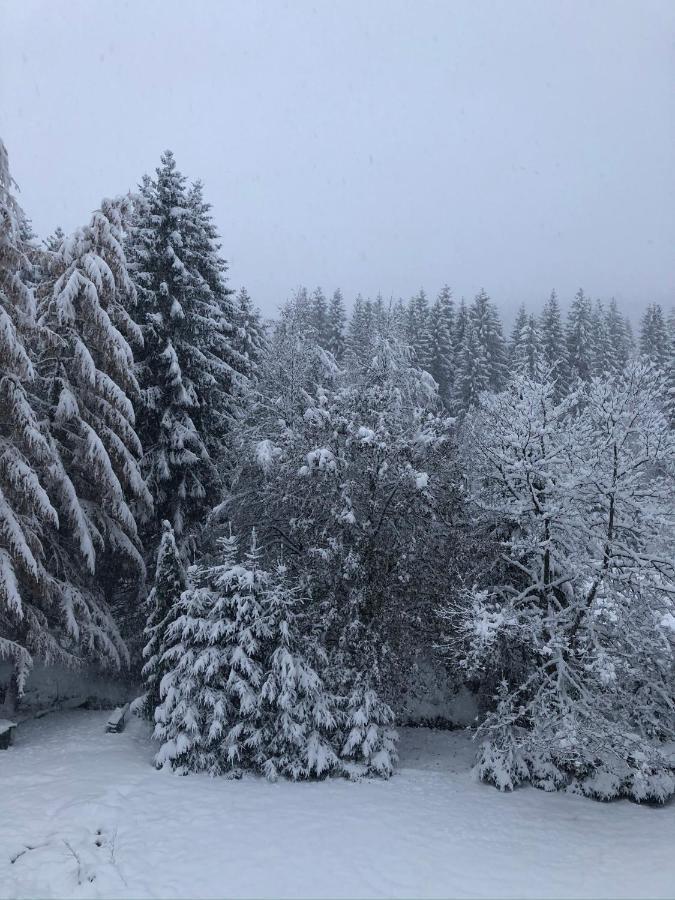 Le Chalet Du Narouel Gérardmer Екстериор снимка